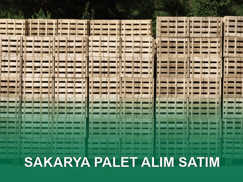 Sakarya Palet Galeri 3