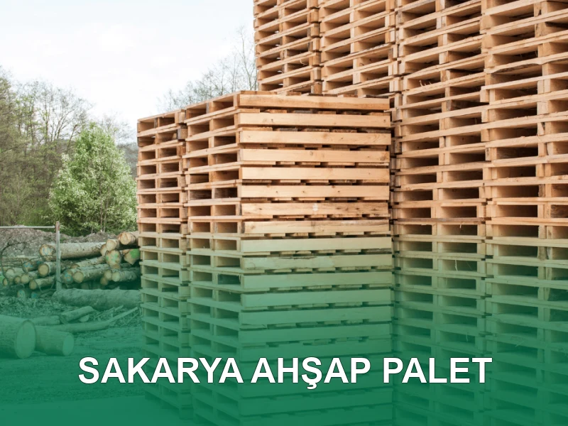 Sakarya Palet Galeri 4