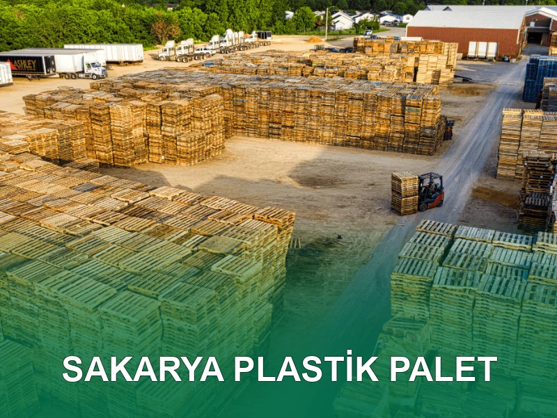 Sakarya Palet Galeri 6